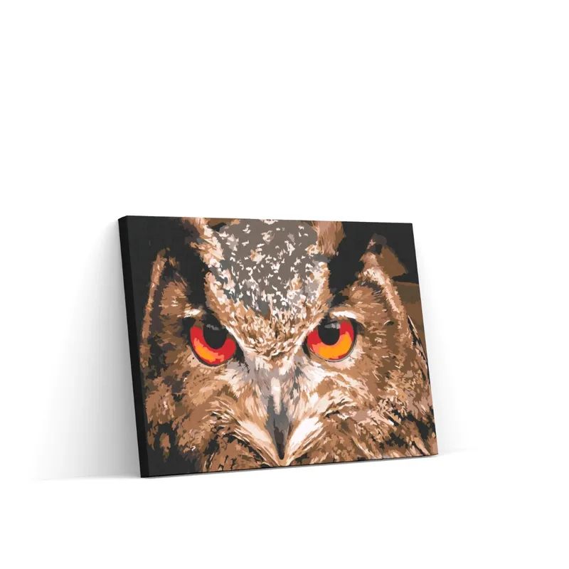 Solo Por Tiempo Limitado Pintar por Números – Búho 2