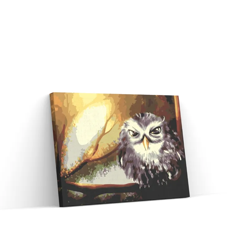 Súper Precio Pintar por Números – Búho Sabio