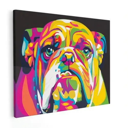 Oferta De Temporada Pintar por Números – Bulldog de color