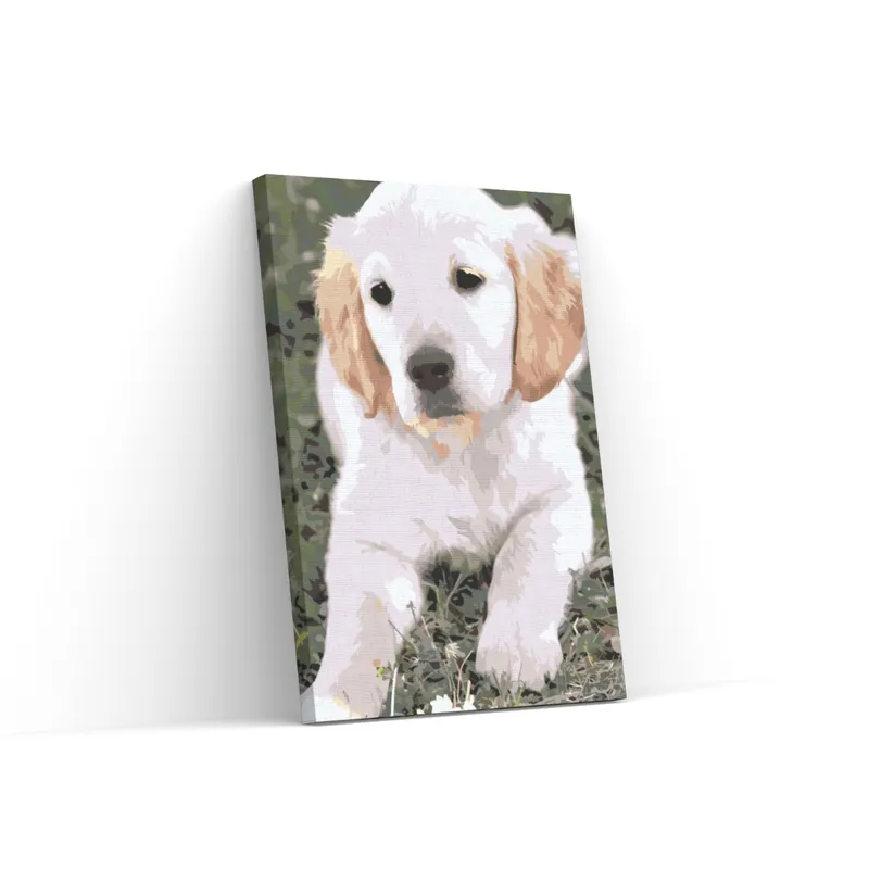 Económico Pintar por Números – Cachorro de labrador