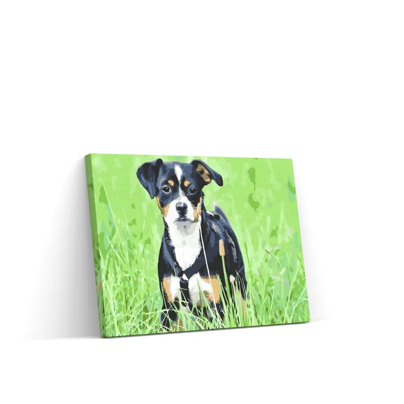 Pintar por Números – Cachorro en la hierba Solo Por Tiempo Limitado