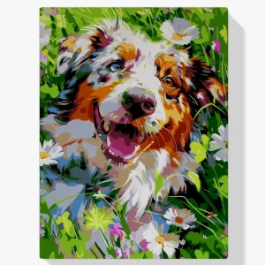 Directo De Fábrica Pintar por Números – Campo australiano