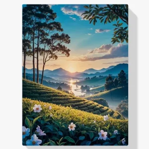 Pintar por Números – Crepúsculo sobre las Colinas del Té Nuevo Modelo