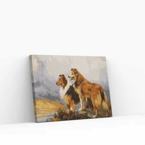 Económico Pintar por Números – Dos hermosos perros