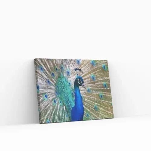 Pintar por Números – El pavo real de cerca No Te Lo Pierdas