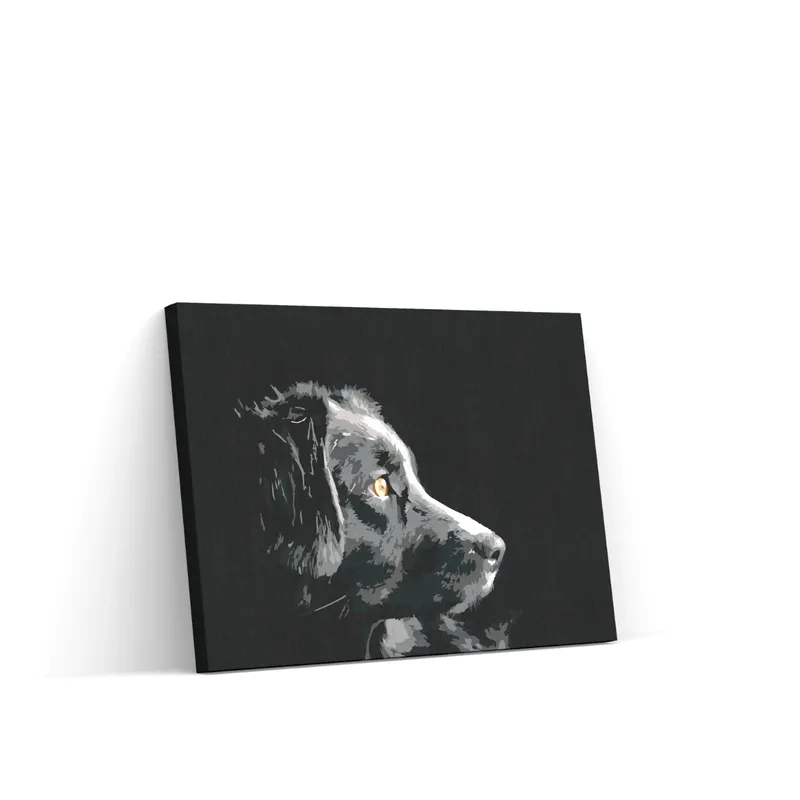 Pintar por Números – El punto de vista del perro Mejor Precio