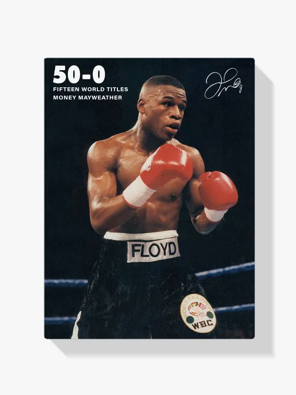 Pintar por Números – Floyd Mayweather Oferta Especial