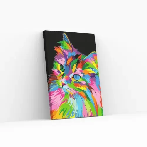 Pintar por Números – Gatito de color Nueva Colección