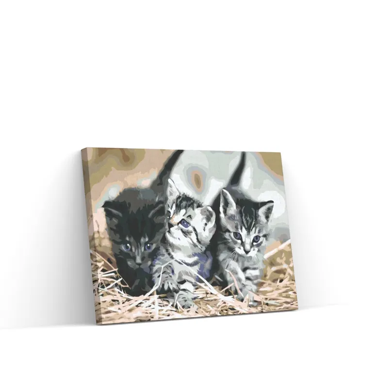 Pintar por Números – Gatitos Pedido Al Por Mayor