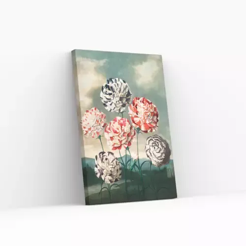 Oferta Especial Pintar por Números – Grupo Claveles