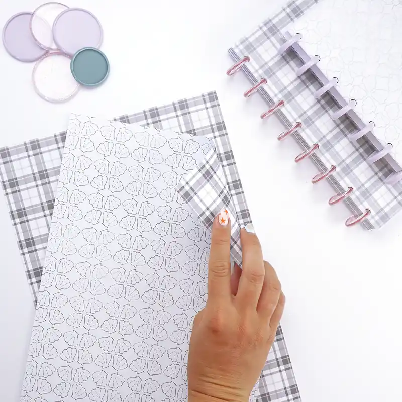 Mayoreo Set dos láminas Conchas-Cuadros