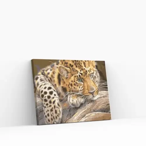 Económico Pintar por Números – Leopardo