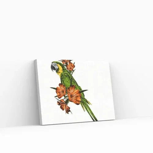 Pintar por Números – Loro en la rama No Te Lo Pierdas