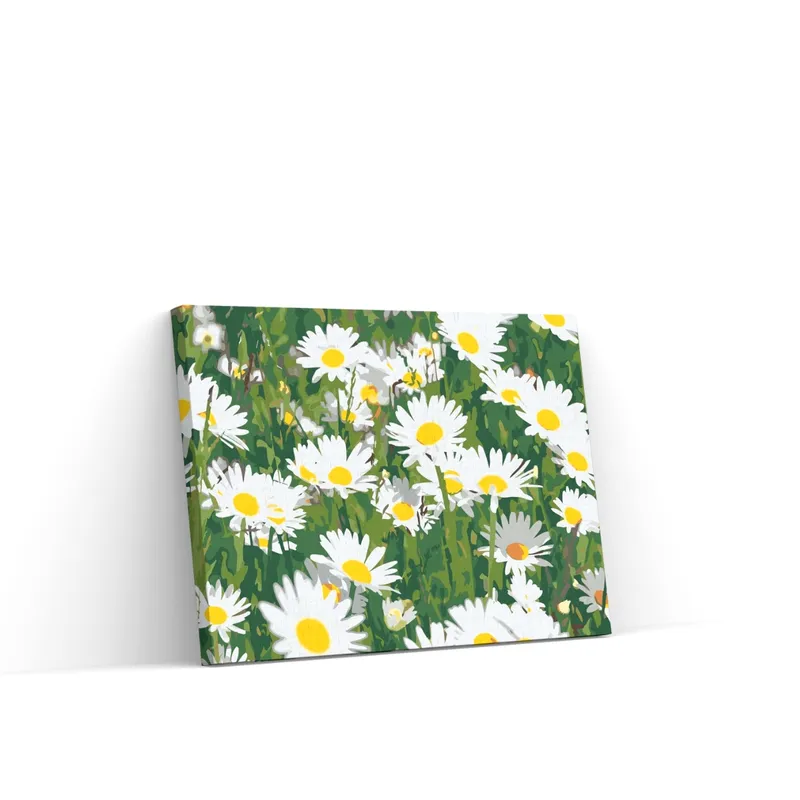 Precio Reducido Pintar por Números – Margaritas en el prado