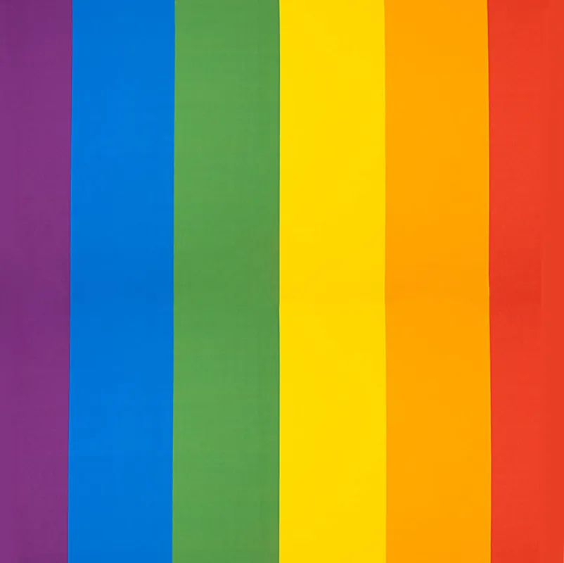 Bandera Orgullo Arcoiris Mate Mejor Calidad