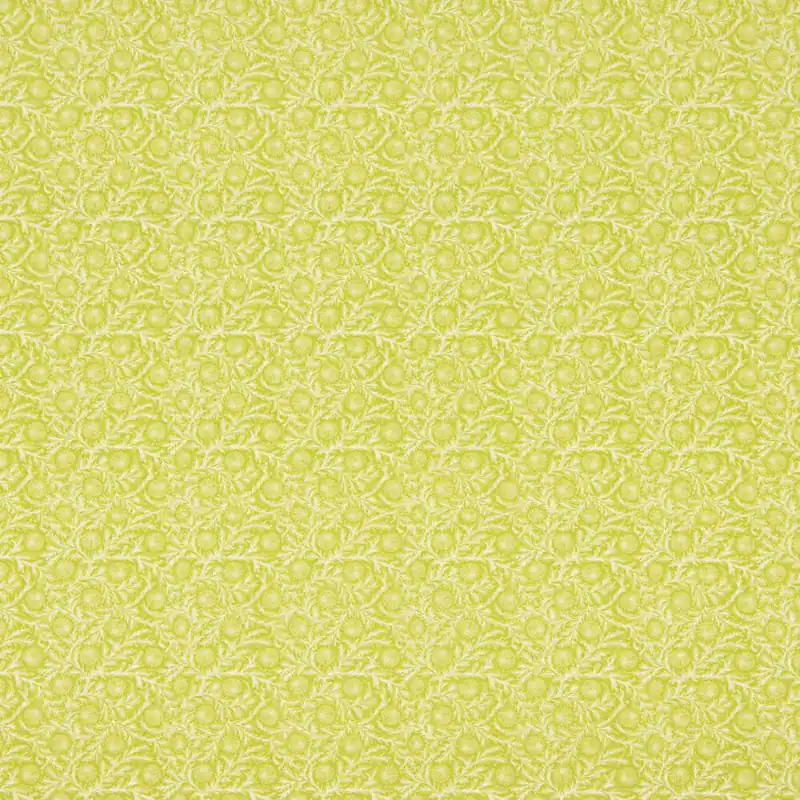 Bestseller Popelín Algodón Supima Print 02