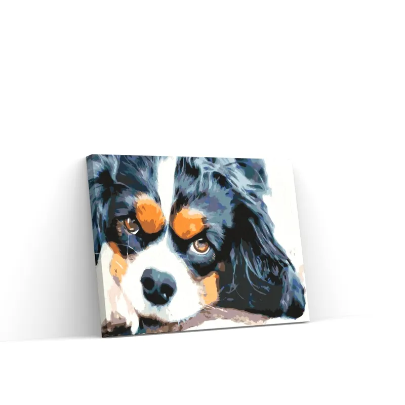 Pintar por Números – Perro pensador No Te Lo Pierdas