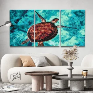 Precio De Fábrica Pintar por Números – Tortuga marina (lote de 3)