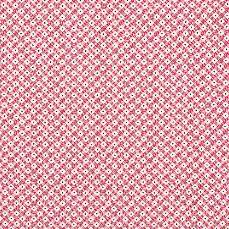 Algodón Patchwork Trelis Novedad