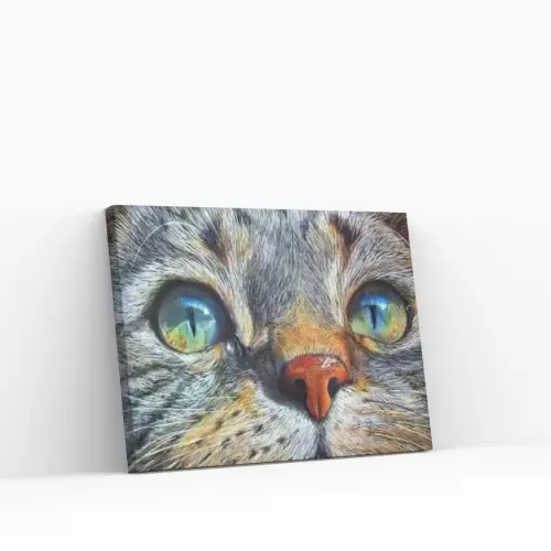 Pintar por Números – Ojos de gato azules Precio Bajo