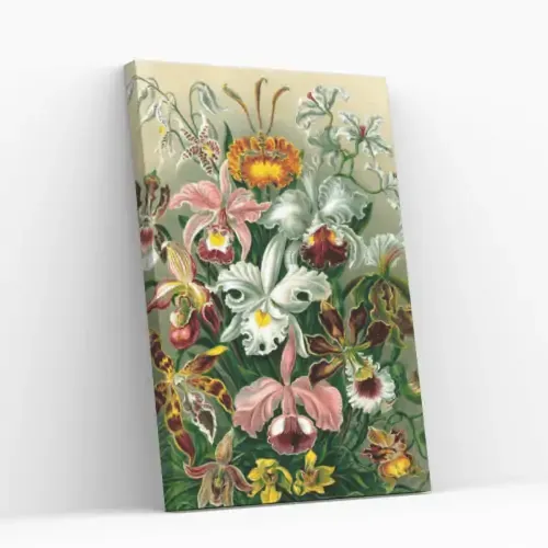 Pintar por Números – Orquídea Mejor Precio