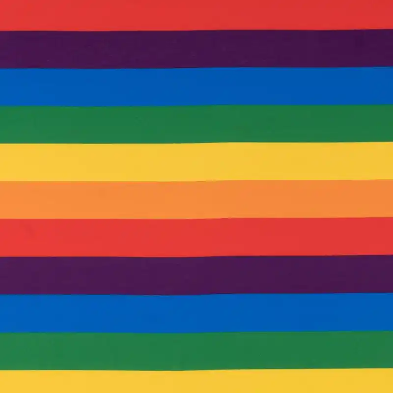 Tela Punto Poliéster Orgullo Multicolor Última Versión