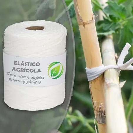 200 mts Goma elástica cuerda agrícola cinta blanca 5 mm, atar tomates y árboles, plana, hilo de entutorar Directo De Fábrica