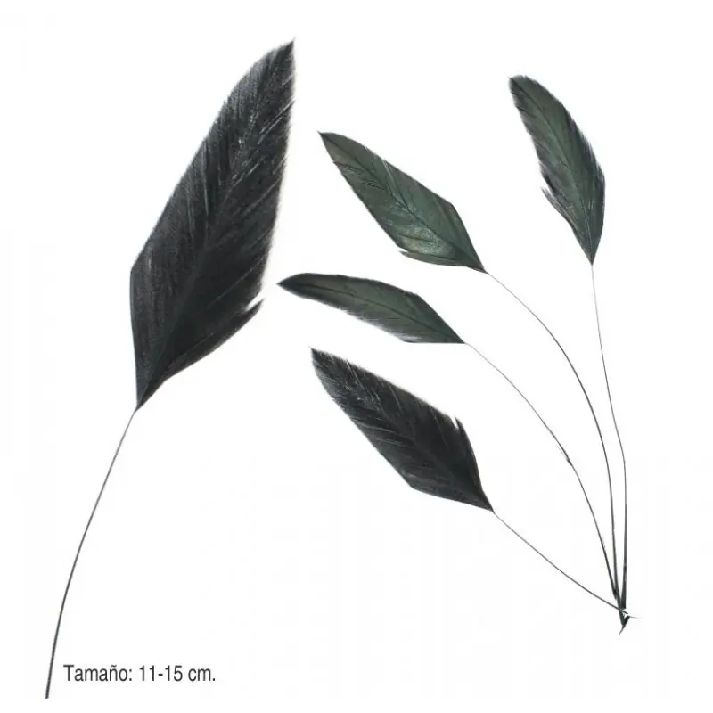 Económico Pluma Cola de Gallo