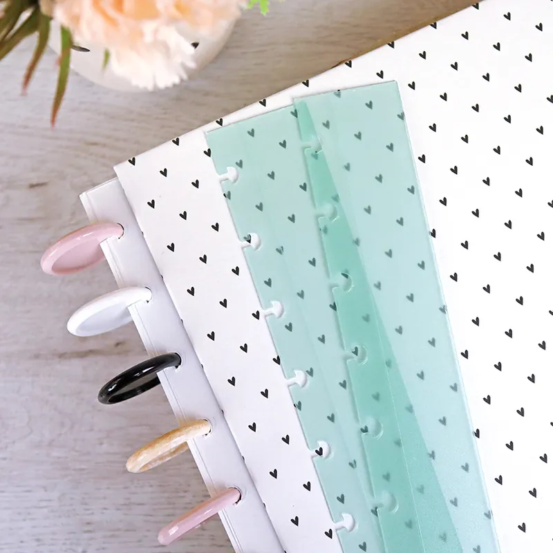 Guías XL Menta translúcida para encuadernación con disco Liquidación