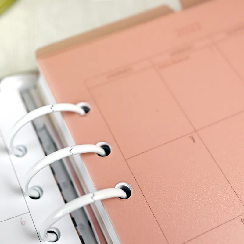 Set de 3 separadores Rosa transparente para agenda Popular