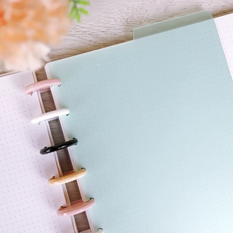 Set de 3 separadores para DISCO Menta transparente Favorito De Clientes