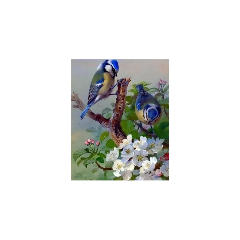 Venta Final Kit punto de cruz diamante pájaros en rama