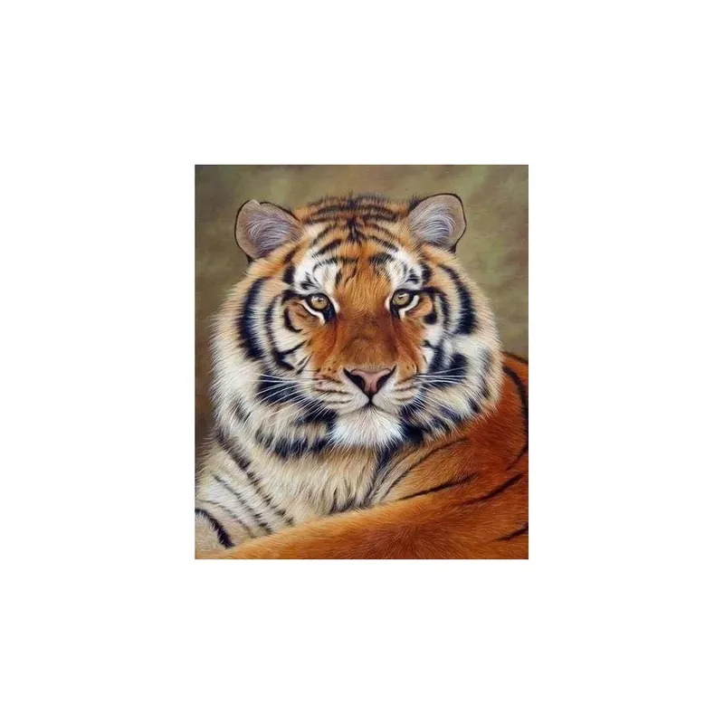 Pedido Al Por Mayor Kit punto de cruz diamante mirada de tigre