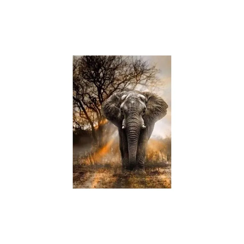 Kit punto de cruz diamante elefante en la sabana Garantía De Devolución De Dinero