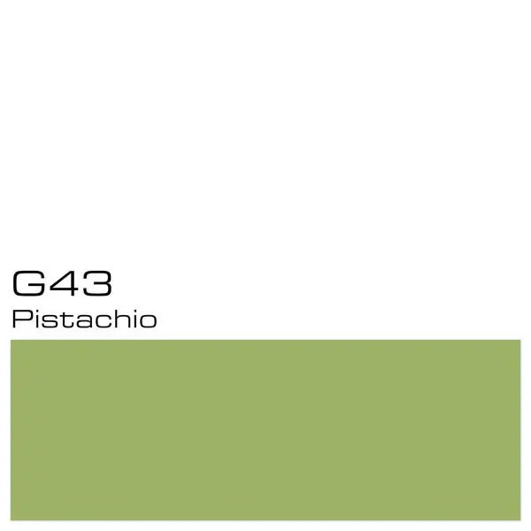 Nuevo Modelo Recarga Copic Ink G43 Pistachio