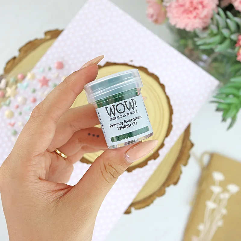 Precio Bajo Polvos de emboss Primary evergreen de WOW!