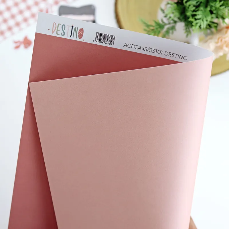 Cartulina básica Destino | Colección Destino Novedad