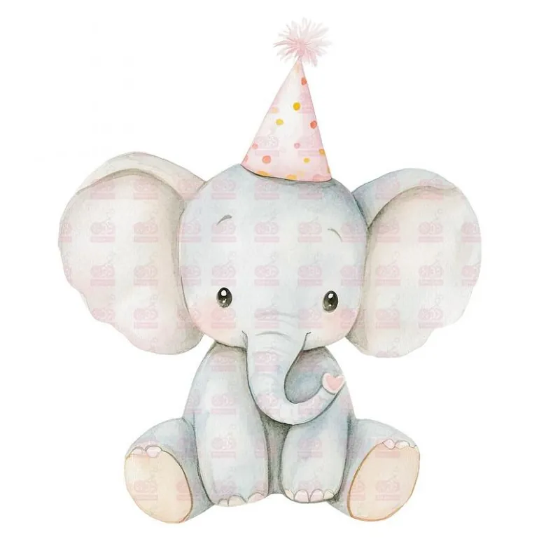 DTF / TRANSFER 4347 Garantía De Devolución De Dinero