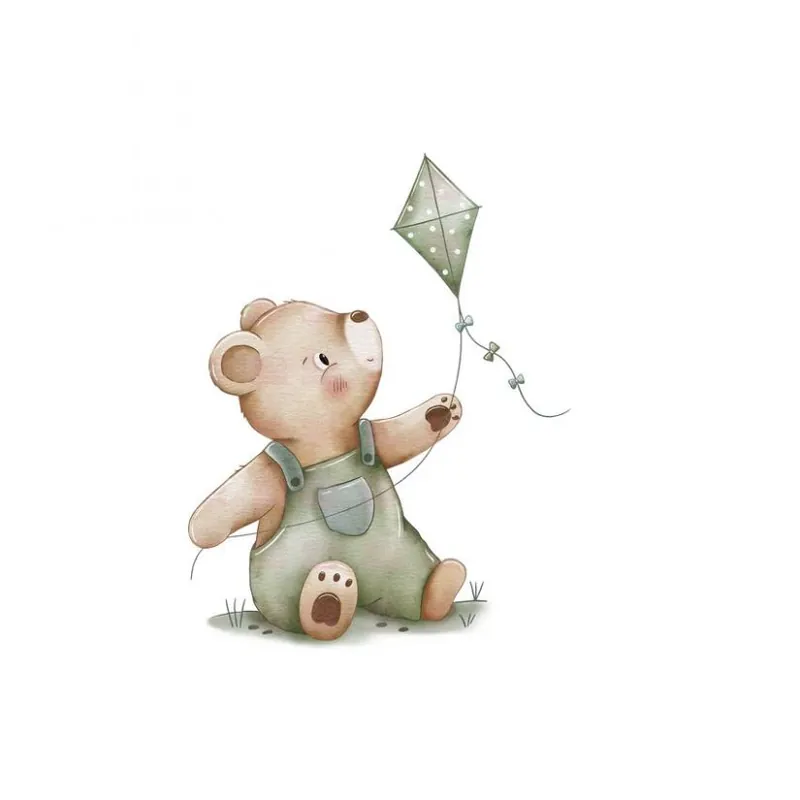 DTF / TRANSFER 4263 OSO MARTIN Y SU COMETA Máxima Calidad