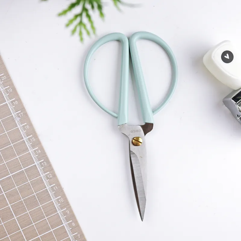 Certificado Tijera Menta CocoCut