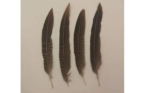 Pluma vetas marrón -Negra 150mm Devolución Gratuita