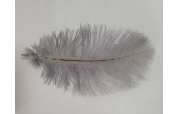Pluma Avestruz 180mm Gris Marca Reconocida