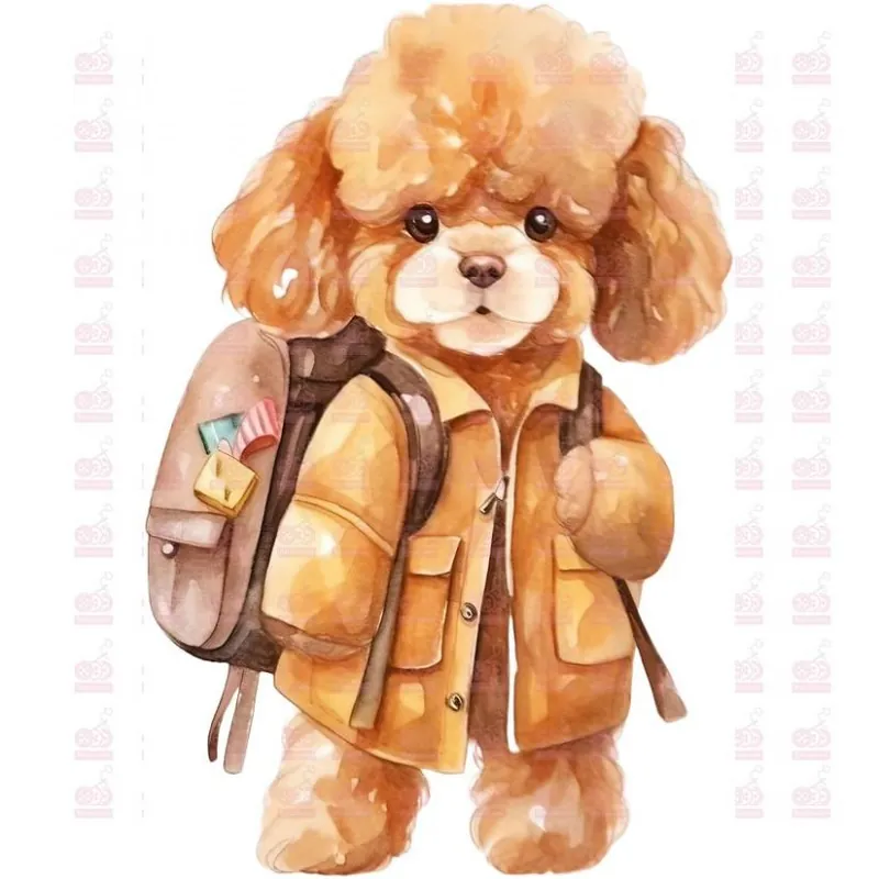 Promoción DTF / TRANSFER 3759