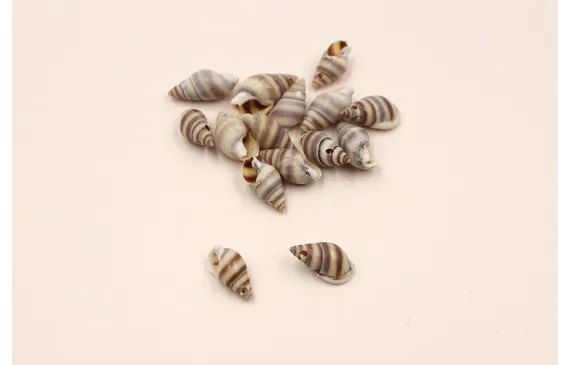 Promoción Exclusiva Cracola rayada 15-20-10-8mm