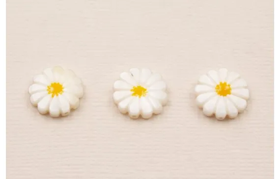 Precio De Oferta Margarita Nacar 12mm