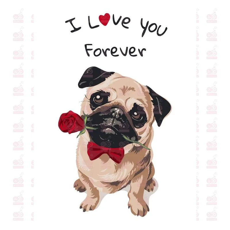 Imprescindible (Must-Have) DTF / TRANSFER 1770