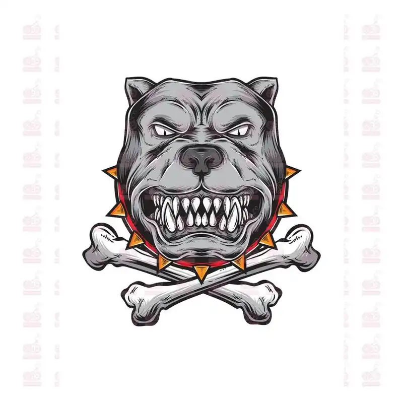 DTF / TRANSFER 1751 Oferta Flash