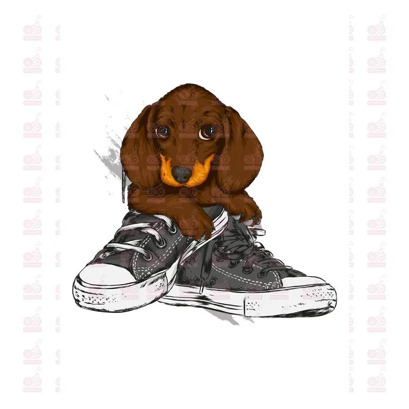 Gran Oferta DTF / TRANSFER 1797