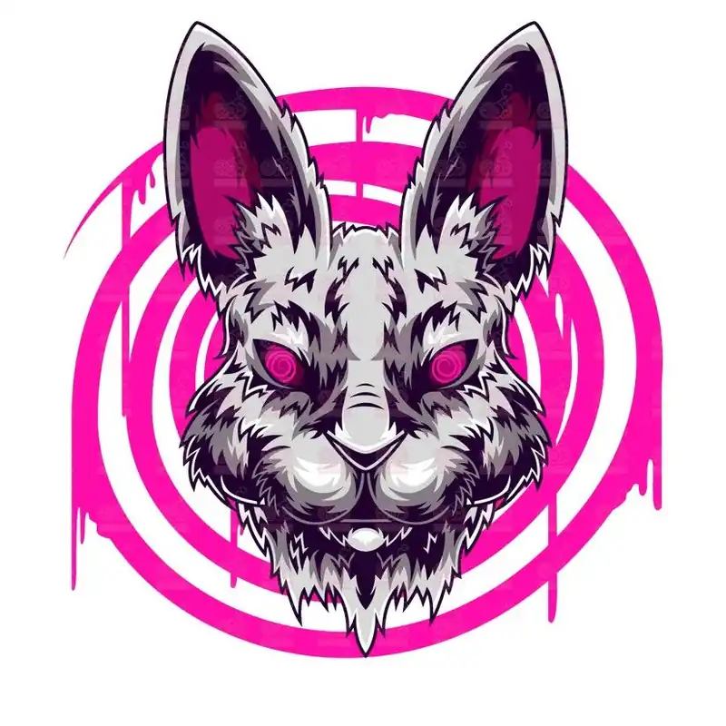 DTF / TRANSFER 1733 Última Oportunidad