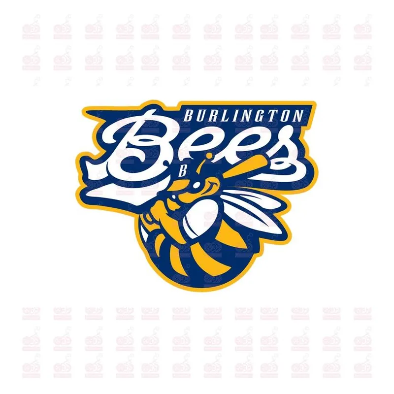 DTF / TRANSFER 1448 Envío Inmediato